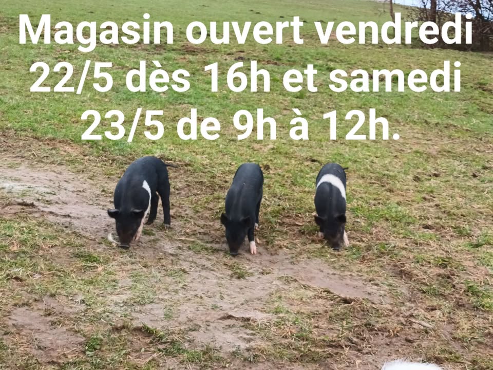 La Bôn'Source
